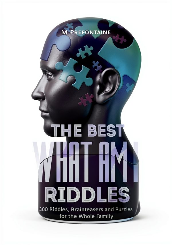 Logic Brain Teasers for Kids, English, 93 Pages, Kindle Edition-0