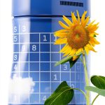 Sudoku Puzzle Book Kindle Edition by BrandName 222 Pages Easy Logic-0