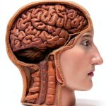 Logic and Brain Teasers for Kindle-0